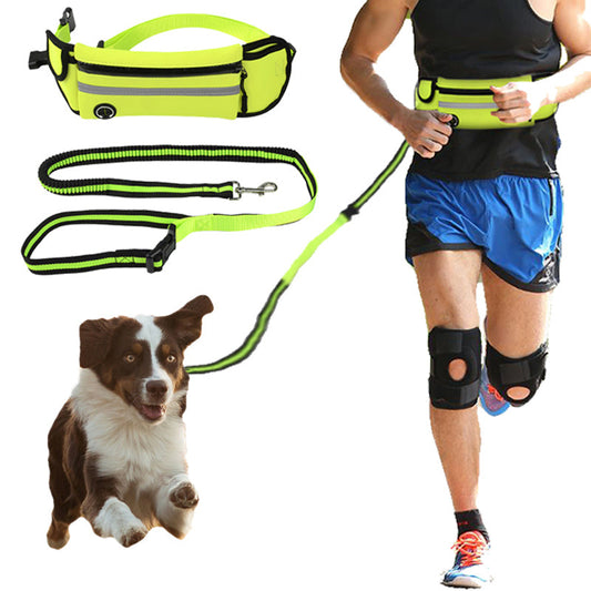 Reflective Waterproof Dog Walking Waist Bag with Traction Rope