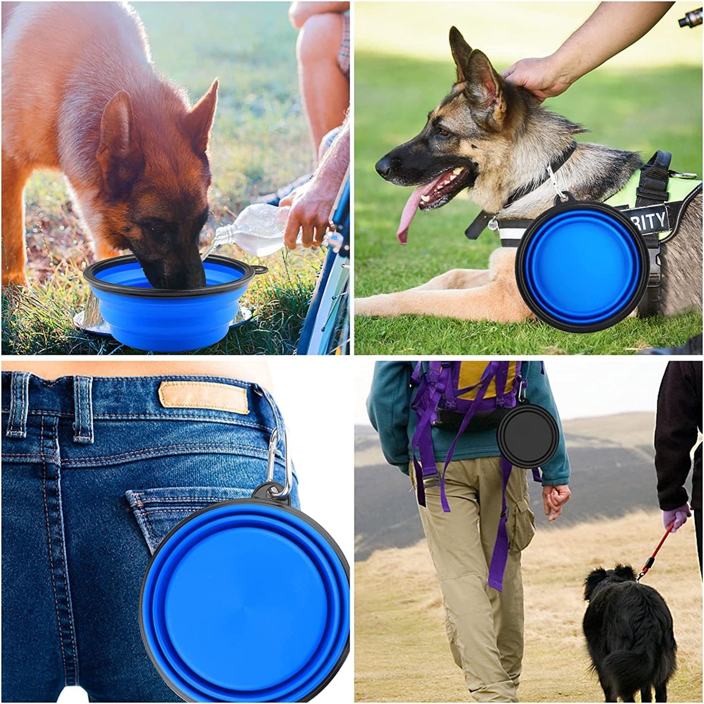 Compact Collapsible Travel Food and Water dishes