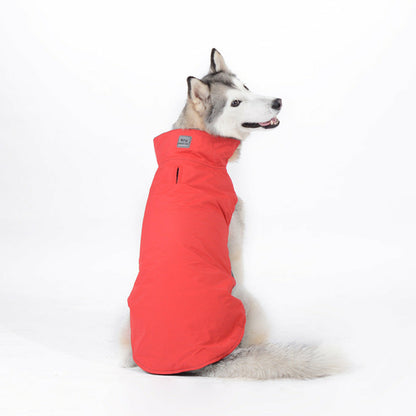 Autumn-Inspired Jackets for Medium and Large Dogs