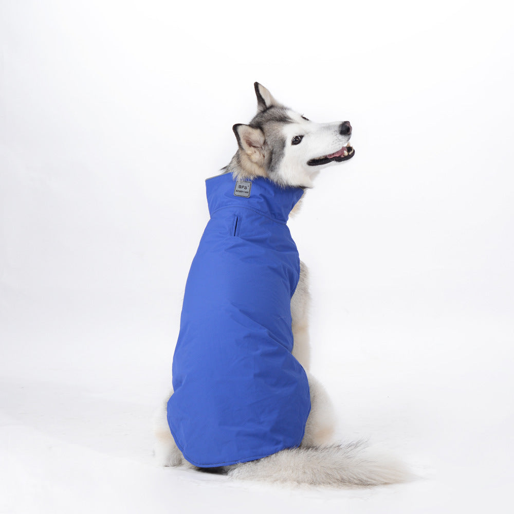 Autumn-Inspired Jackets for Medium and Large Dogs