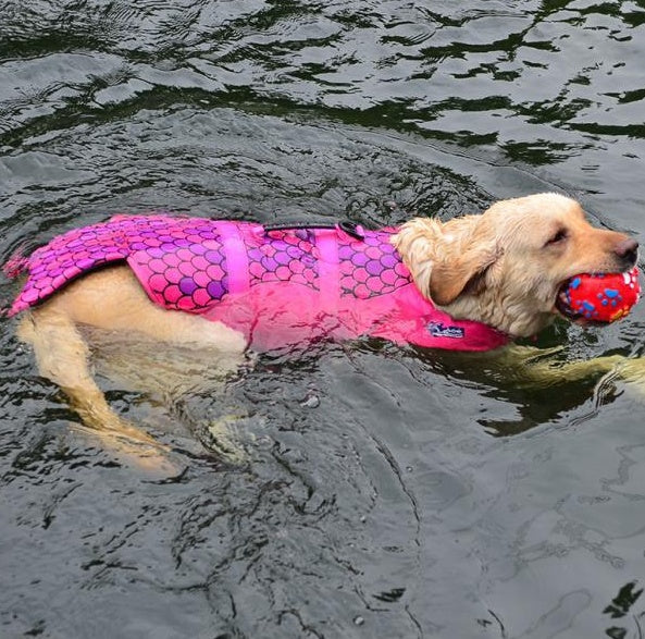 Dog Life Jacket - Sharky, Mermaid, Clown Fish