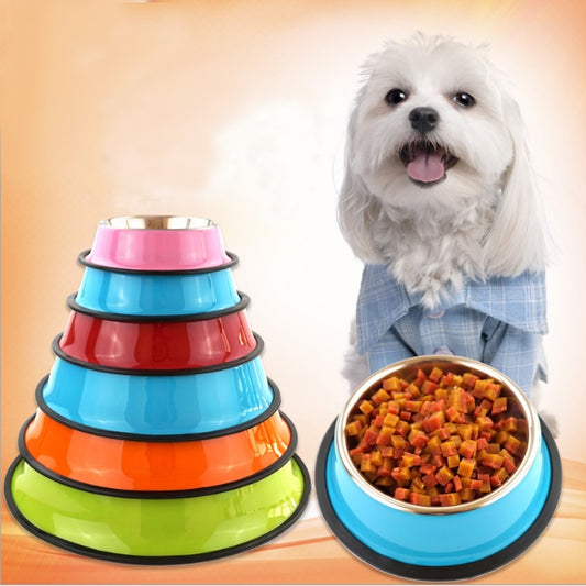 Classic Stainless-Steel Food and Water Bowls