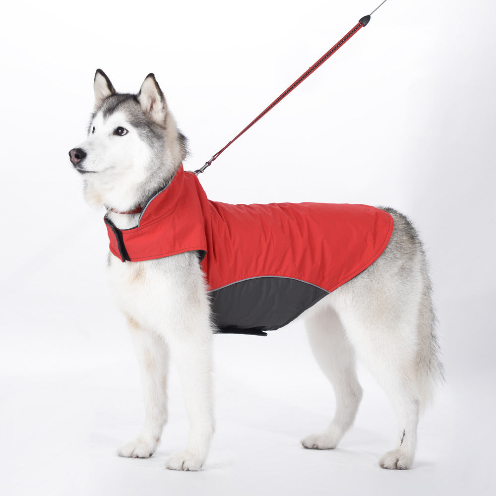 Autumn-Inspired Jackets for Medium and Large Dogs