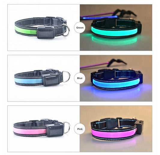 Reflective LED Dog Collar with USB and Solar Charging