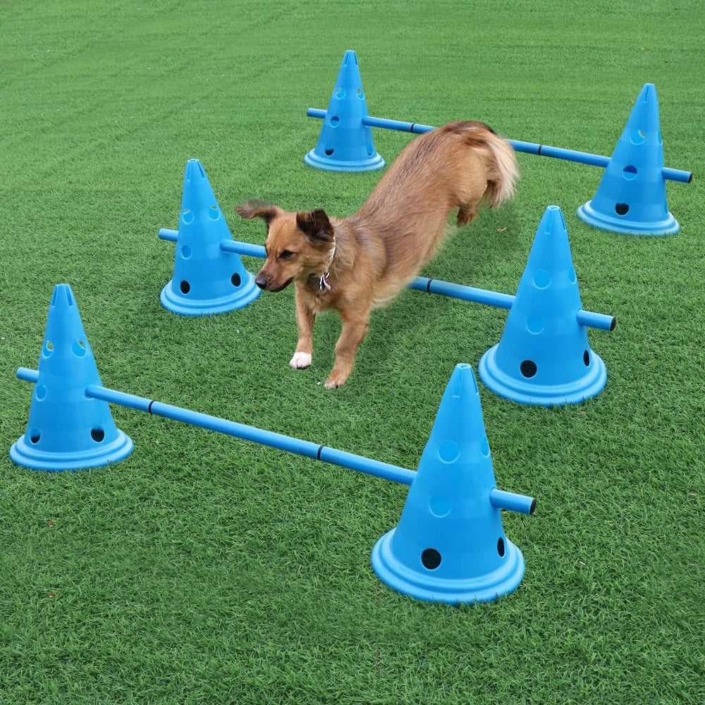 Agility Training Jumps Set of 3