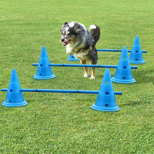 Agility Training Jumps Set of 3