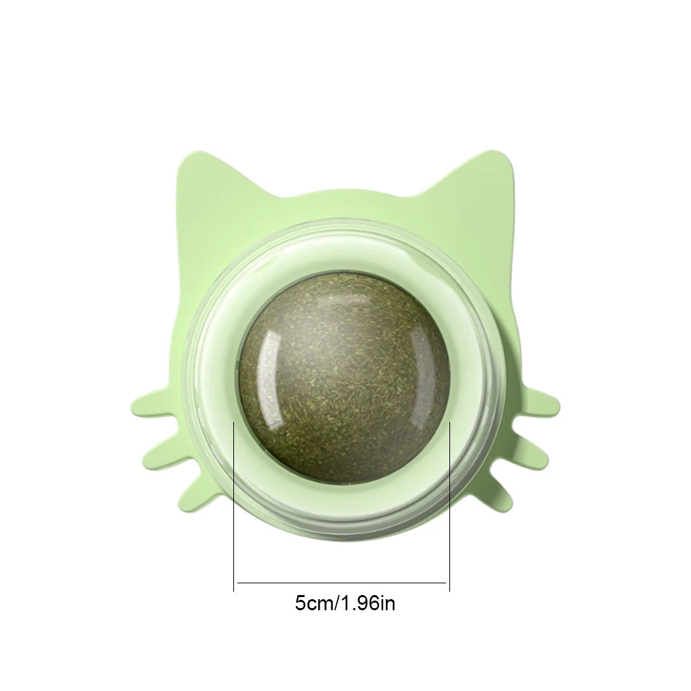 Catnip Wall Toy