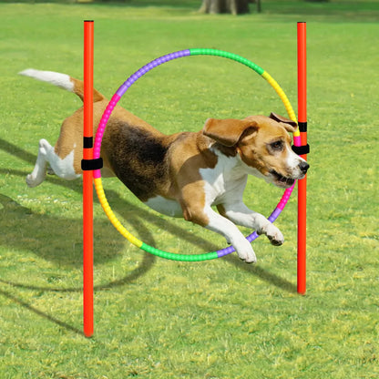 Outdoor Agility Obstacles