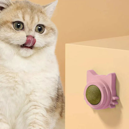 Catnip Wall Toy