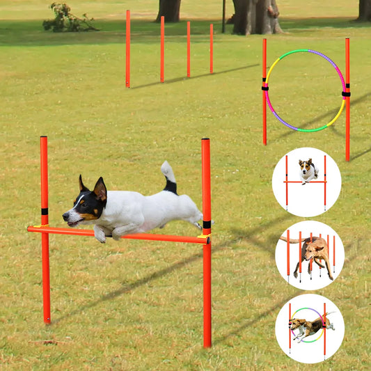 Outdoor Agility Obstacles