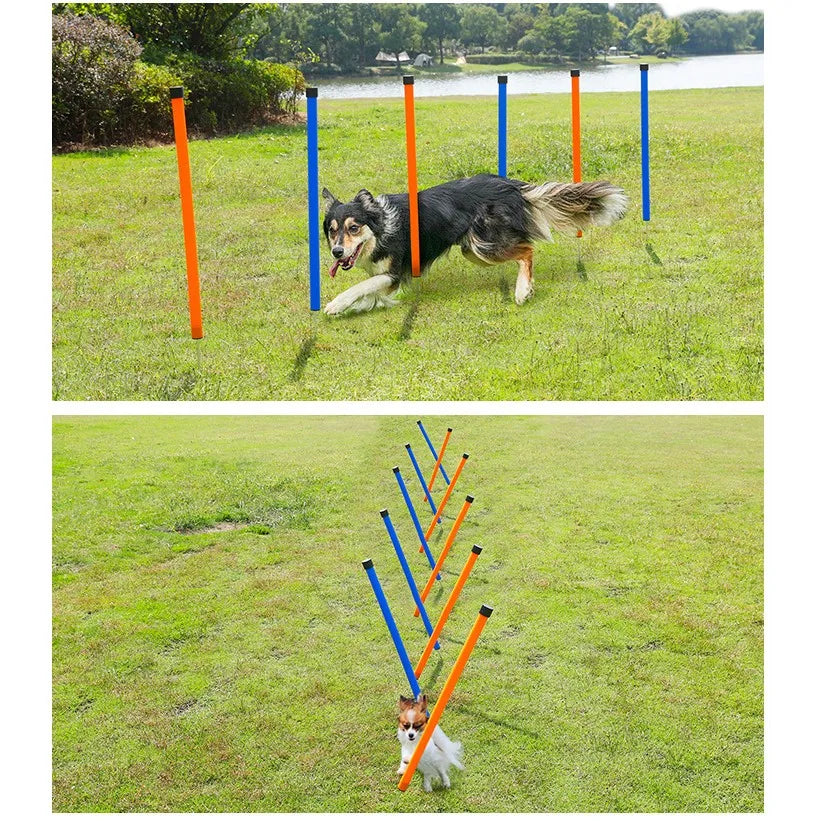 Agility Poles