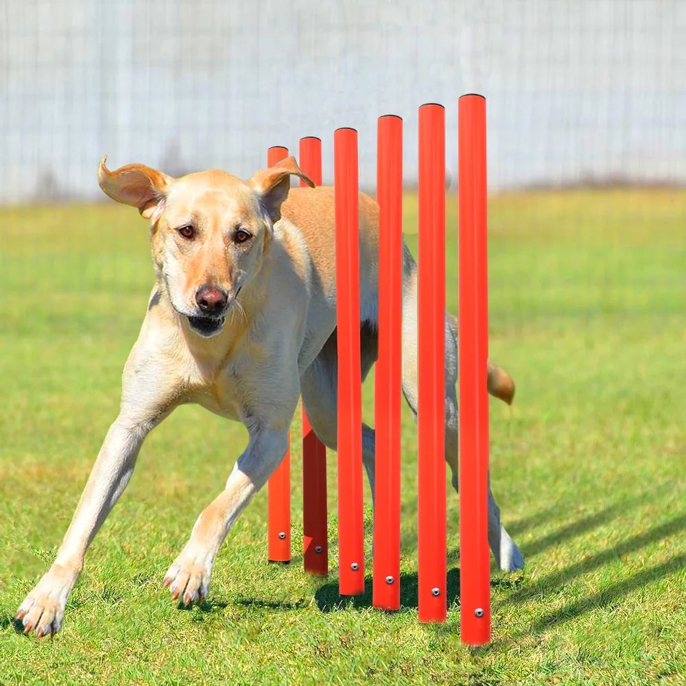 Outdoor Agility Obstacles