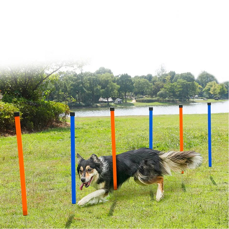 Agility Poles