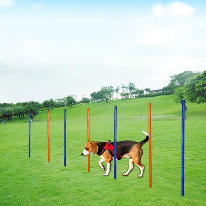 Agility Poles