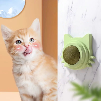 Catnip Wall Toy