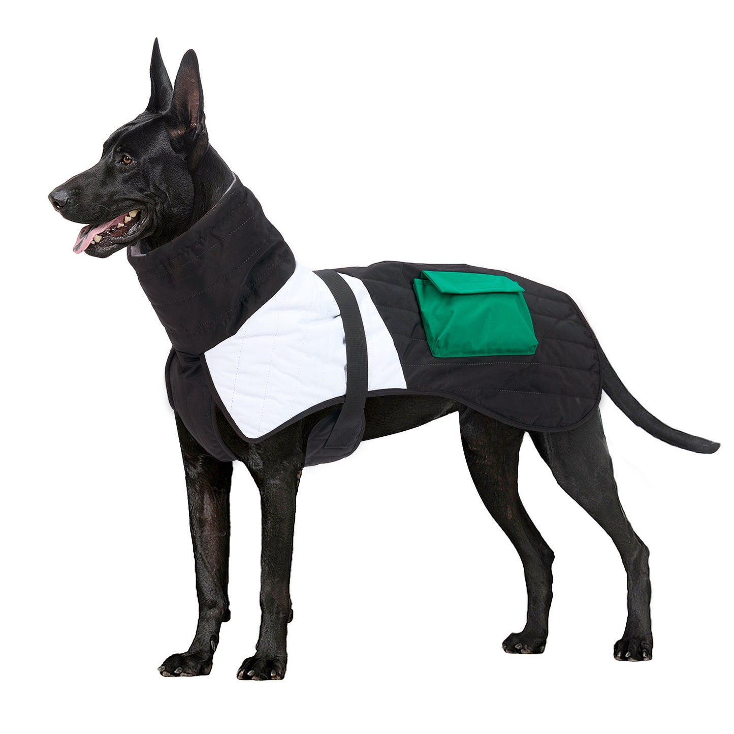 Padded Winter Coat for Dogs