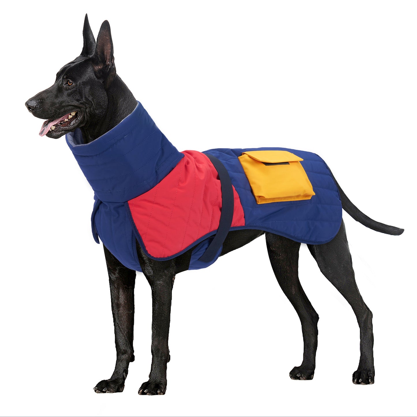 Padded Winter Coat for Dogs